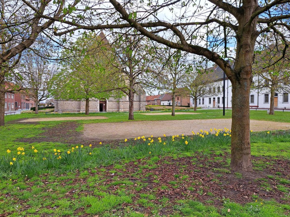 Villa Begijnhof 54 Sint-Truiden Esterno foto